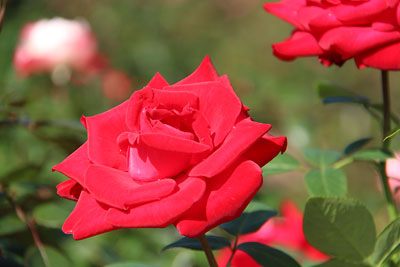 c0152779_14494649.jpg