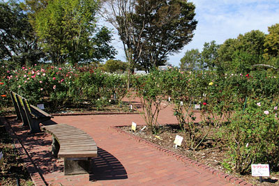 c0152779_153057.jpg