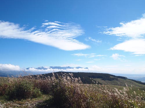 a0224382_172076.jpg