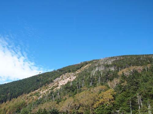 a0224382_17411.jpg