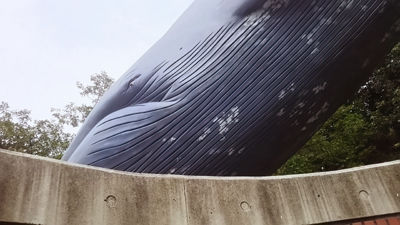 c0145183_10563666.jpg