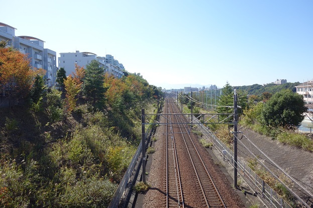 d0183387_17165114.jpg