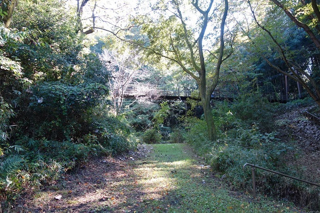 d0183387_17233012.jpg