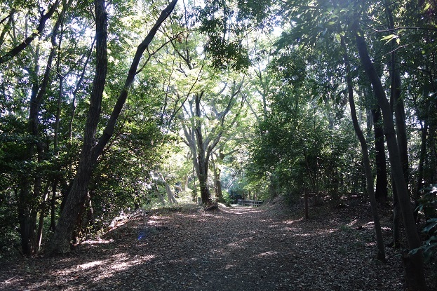 d0183387_17335070.jpg