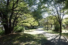d0183387_18323891.jpg