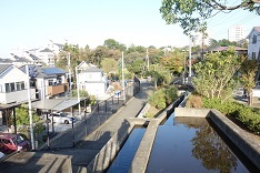 d0183387_20102114.jpg