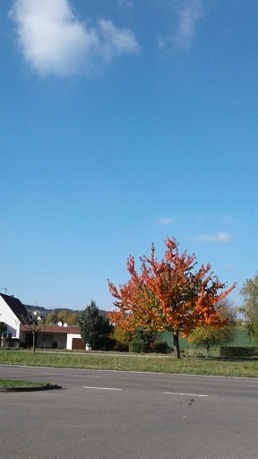 a0248797_04401526.jpg