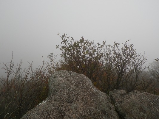 f0187402_1750593.jpg