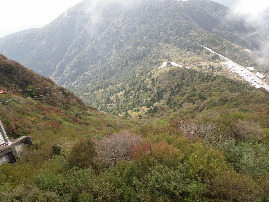 f0187402_17513133.jpg