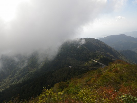 f0187402_1751504.jpg