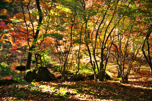 a0263109_19145313.jpg