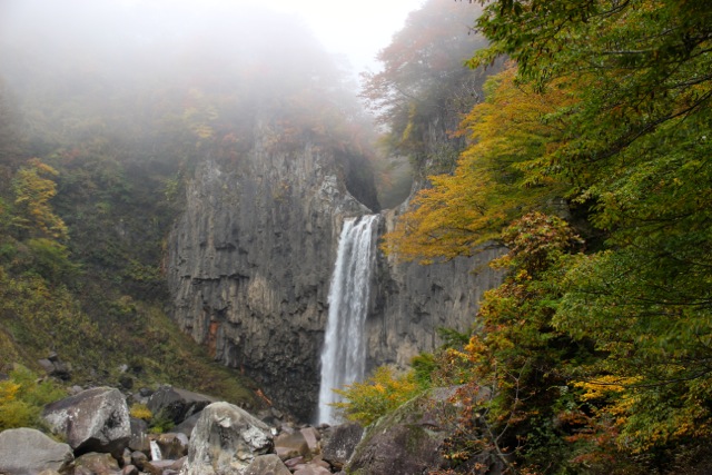 f0217617_11155321.jpg
