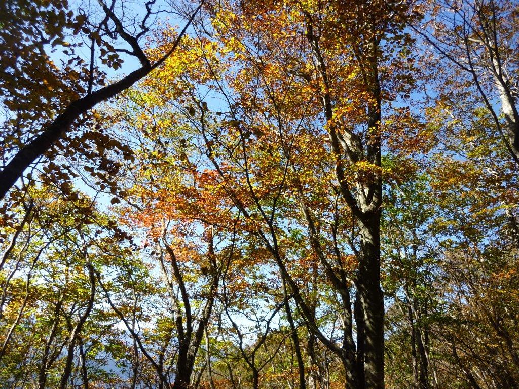 b0298935_17075630.jpg