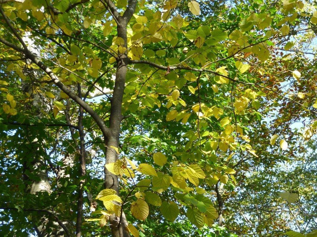 b0298935_17111503.jpg