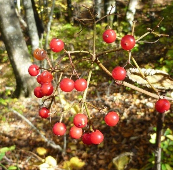 b0298935_21050905.jpg