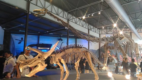 f0001835_044839.jpg