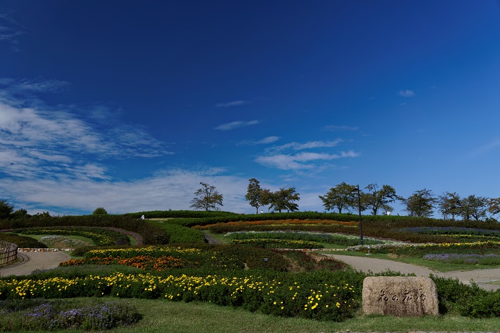 f0274536_2254728.jpg