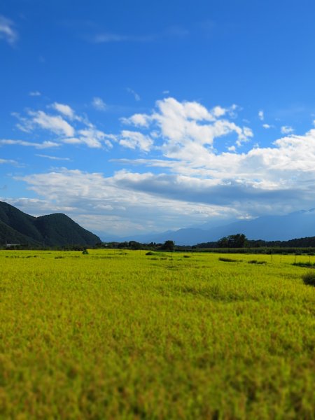 b0341140_1822216.jpg