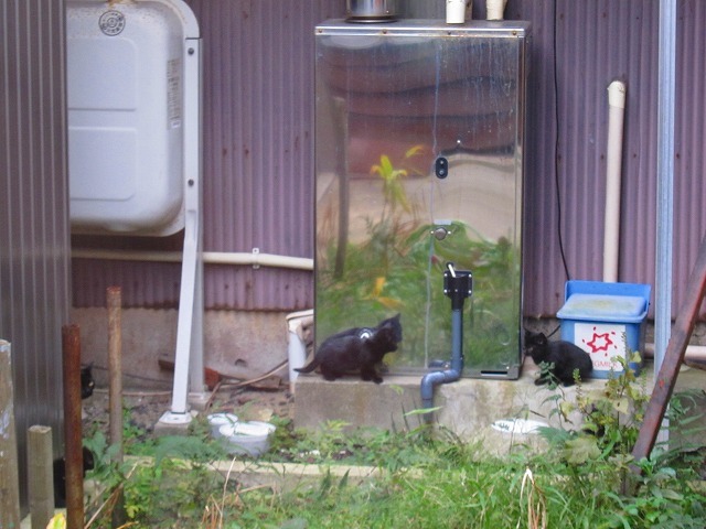 c0327752_14484752.jpg