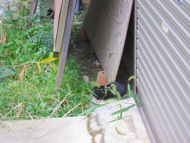 c0327752_14494205.jpg