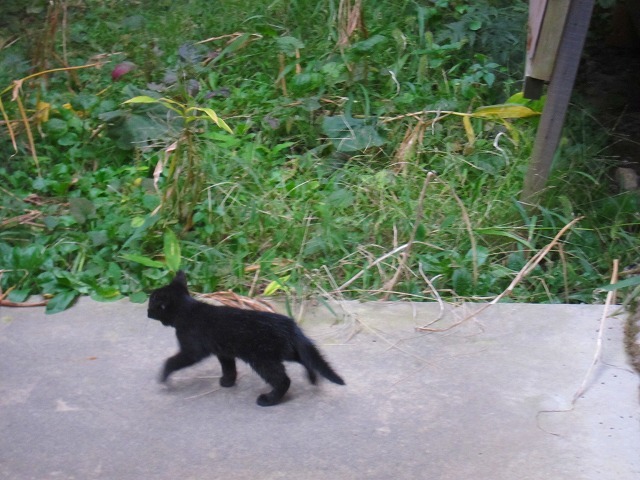 c0327752_14510712.jpg
