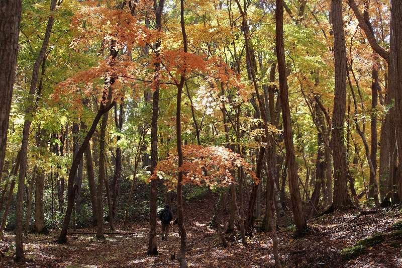b0250154_20035652.jpg