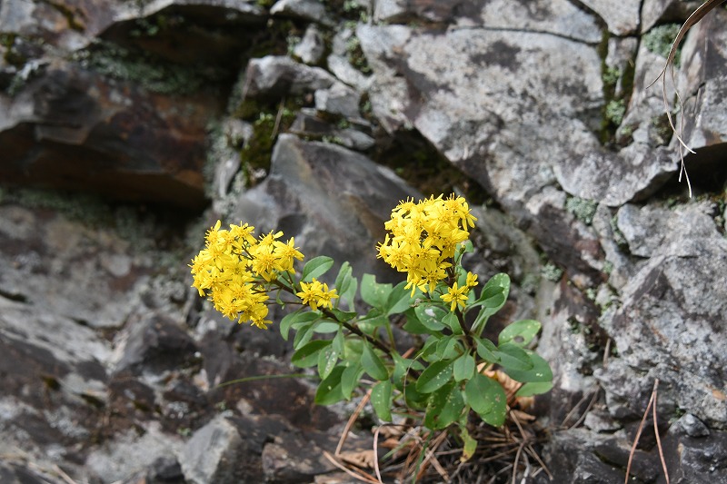 b0104861_19182194.jpg