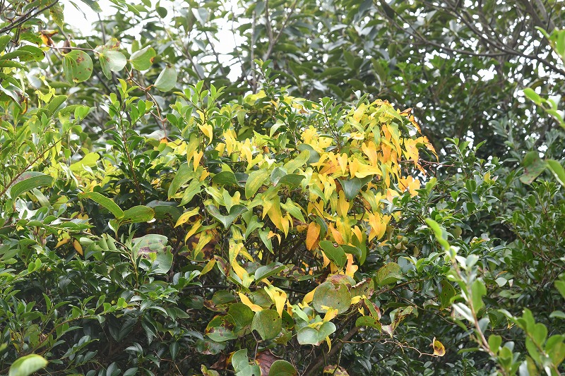 b0104861_19204148.jpg