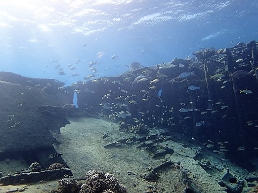 e0132965_1724412.jpg
