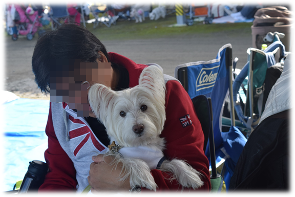 b0242873_01132482.png