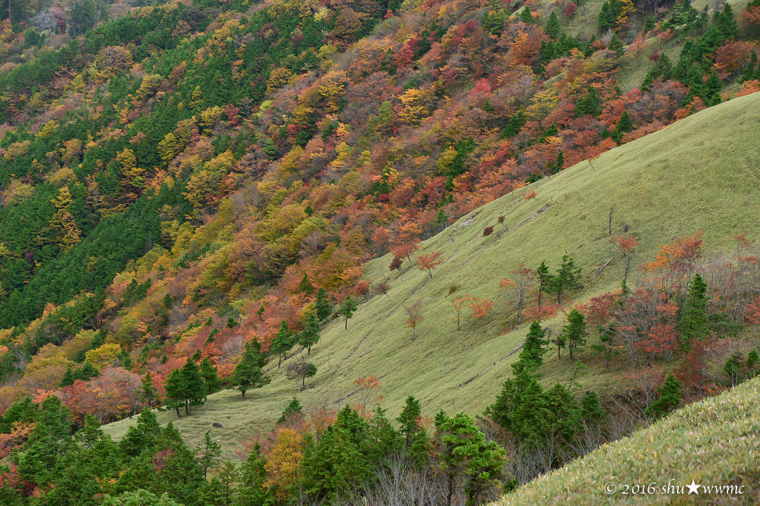 a0142976_826158.jpg