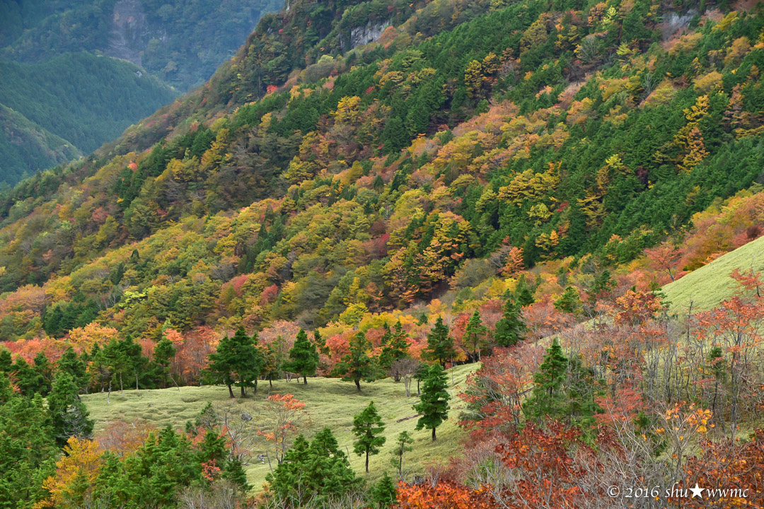 a0142976_826730.jpg