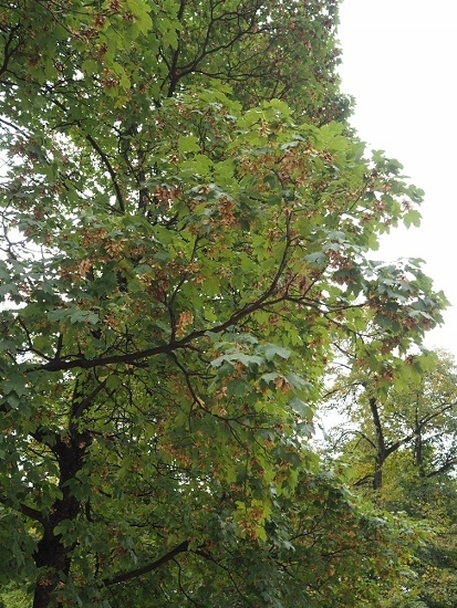 e0209997_22490146.jpg