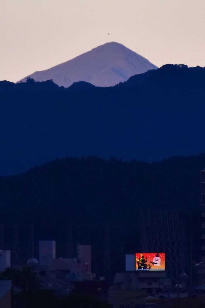c0049299_22282750.jpg