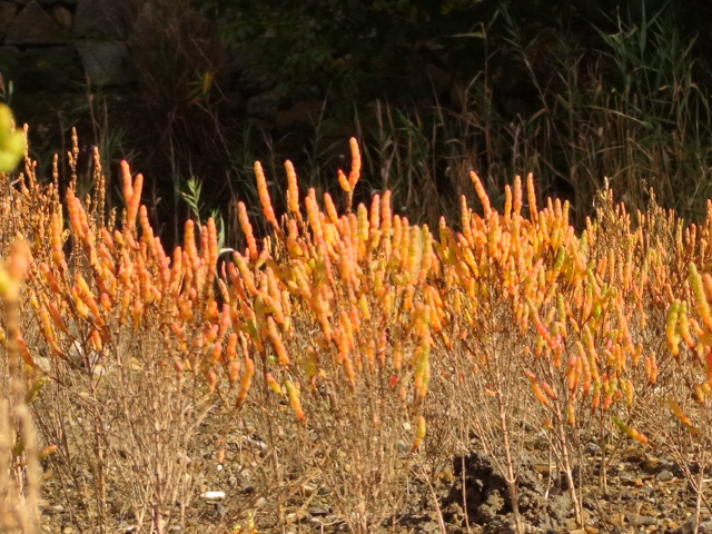 f0231709_23264032.jpg