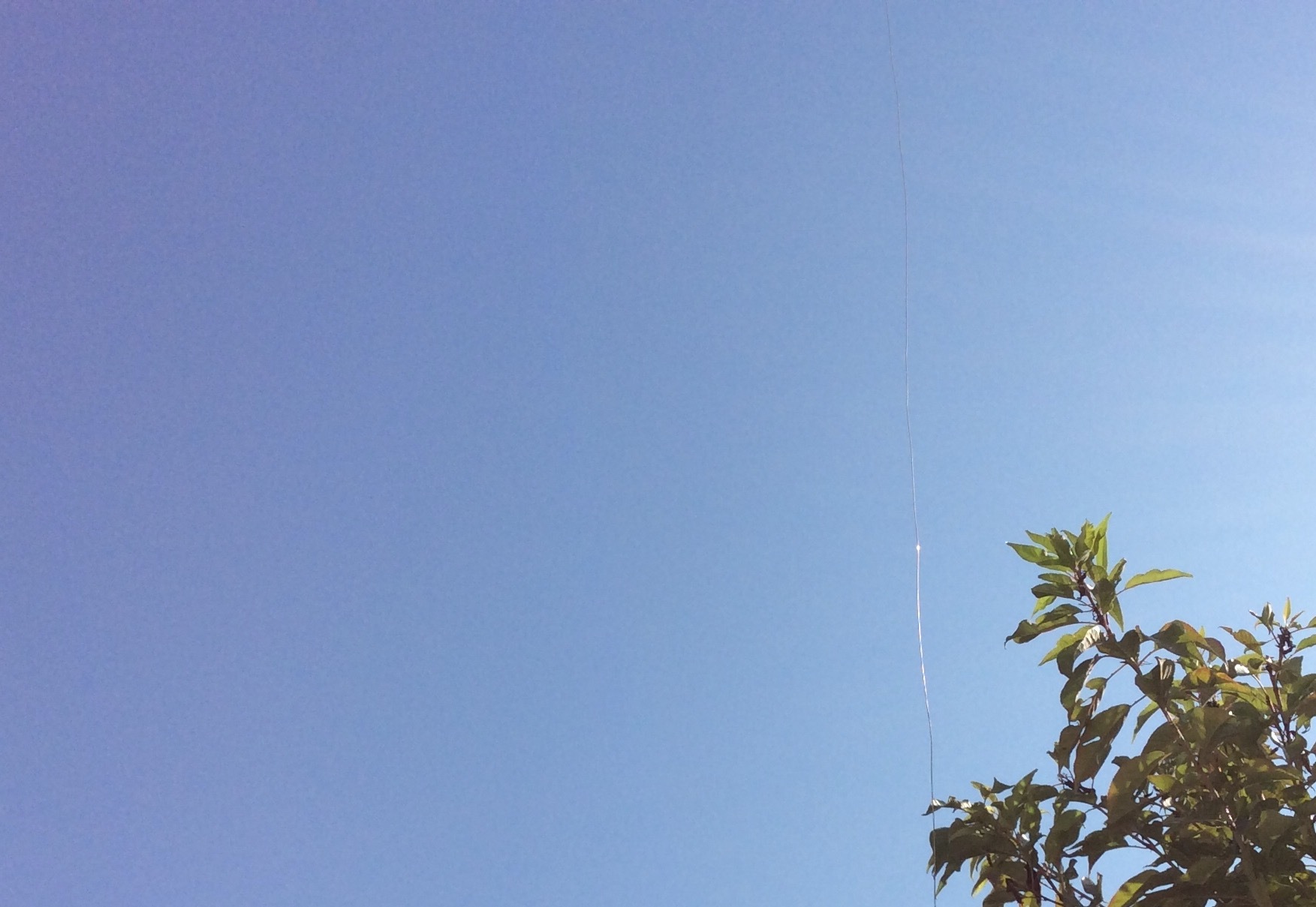 b0344816_10203368.jpeg