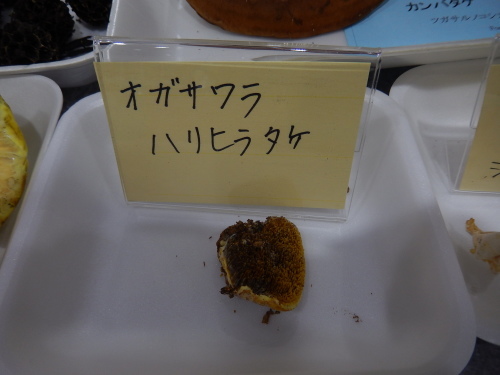 e0352220_11305542.jpg