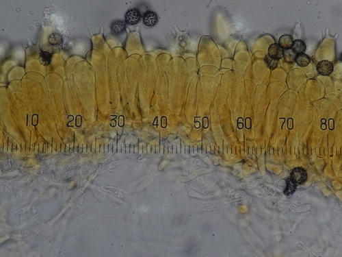 e0352220_11510620.jpg