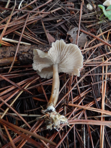 e0352220_11581501.jpg
