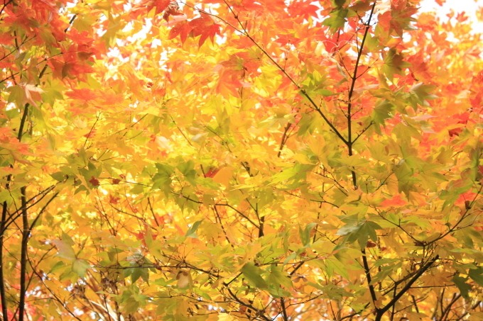 c0087023_21250778.jpg