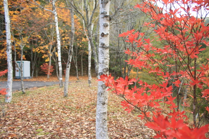 c0087023_21255903.jpg
