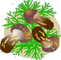 a0115924_15342218.gif