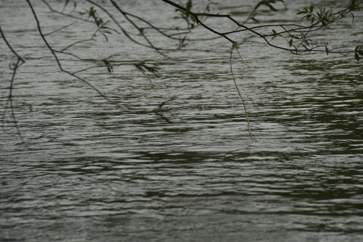 c0133133_17472510.jpg