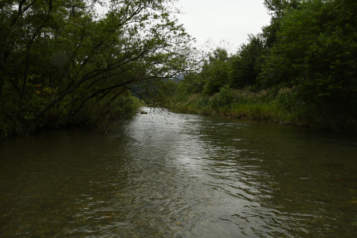 c0133133_1747694.jpg