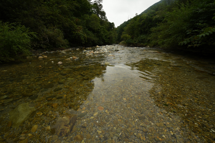 c0133133_18155496.jpg