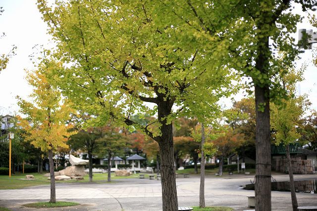 a0242438_18245717.jpg