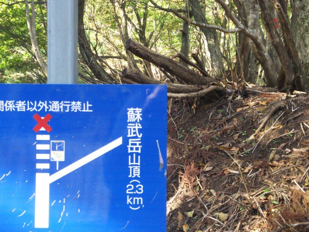 c0077338_22472882.jpg