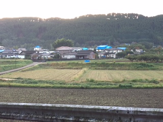 d0009738_424210.jpg