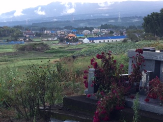d0009738_424232.jpg