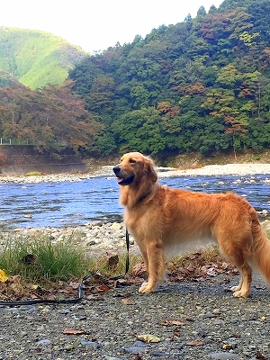 c0344639_23502432.jpg